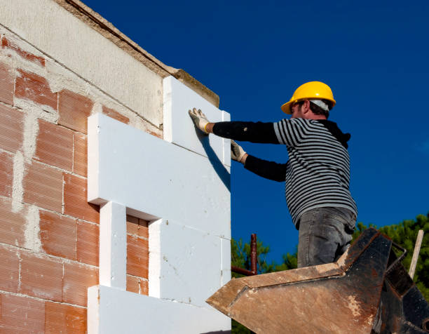 Best Geographic-Specific Insulation Services in Prosper, TX