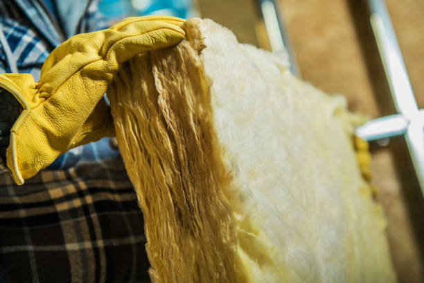 Best Residential Insulation in Prosper, TX