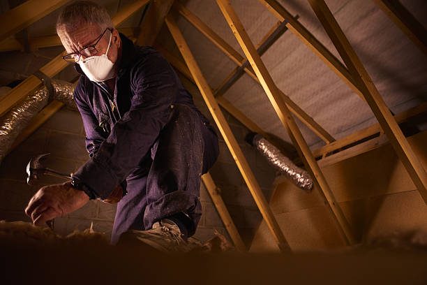 Best Cellulose Insulation in Prosper, TX